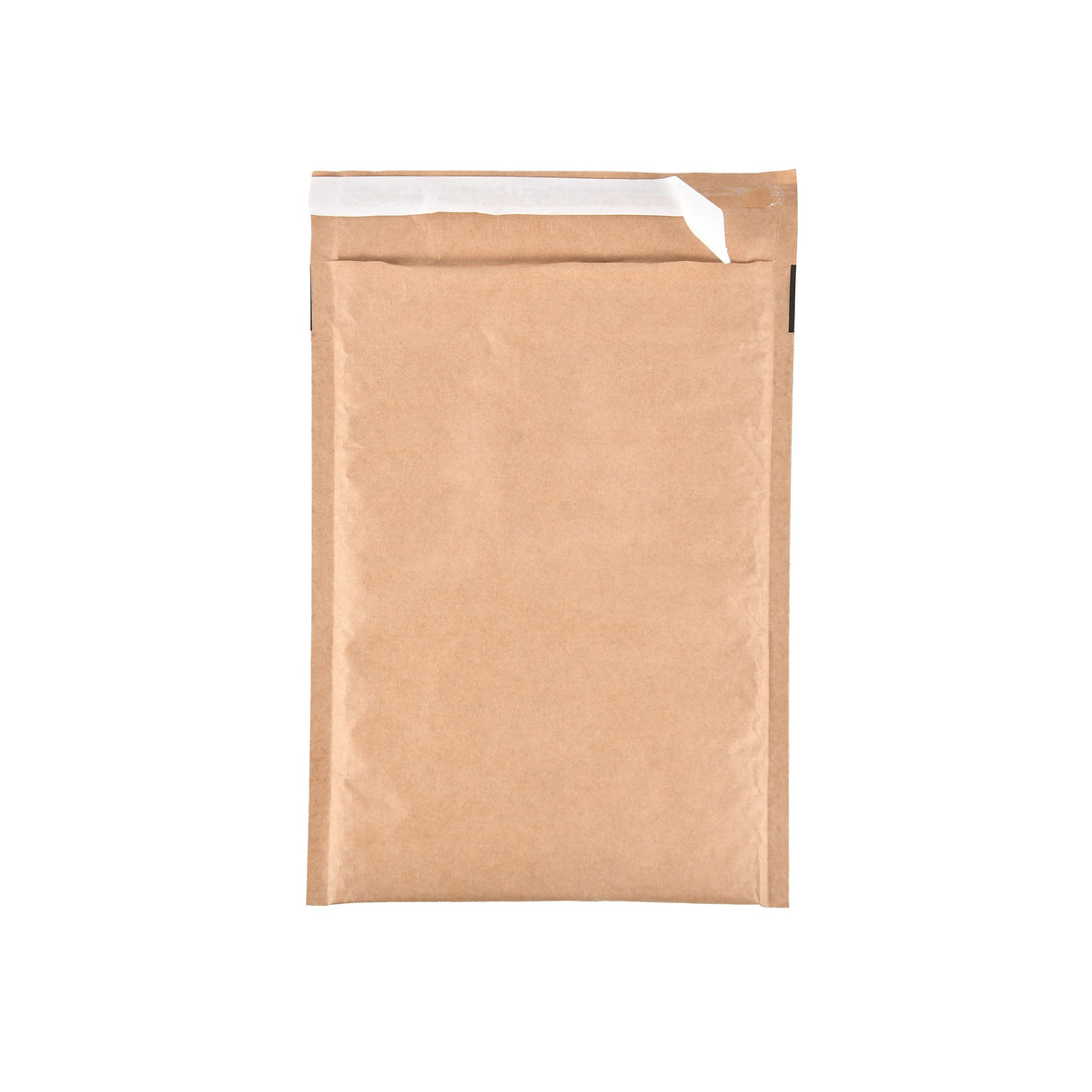 Paper Padded Bags