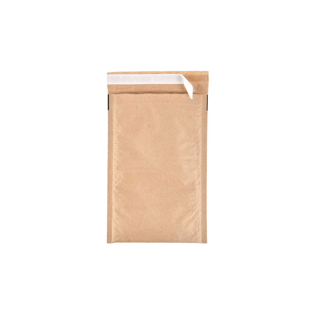 Paper Padded Bags