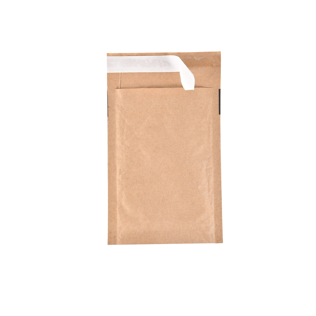 Paper Padded Bags