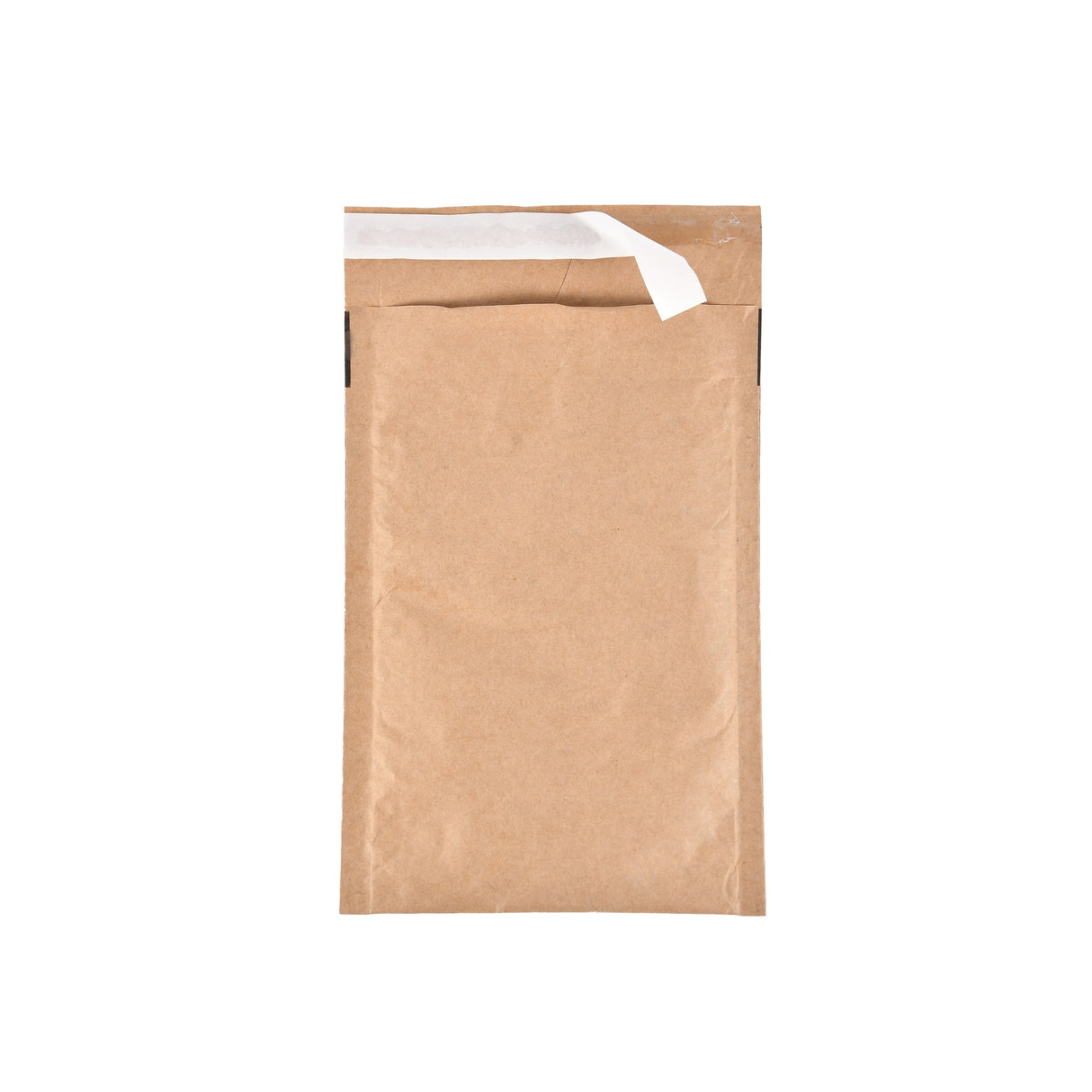 Paper Padded Bags