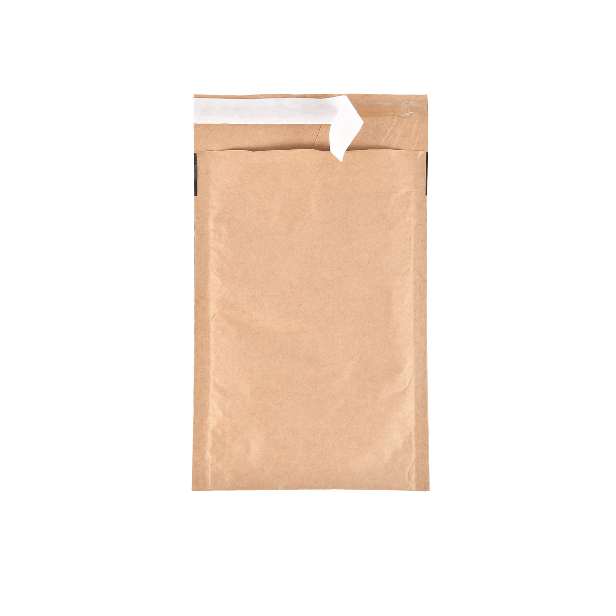 Paper Padded Bags